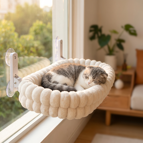 Cat Hammock